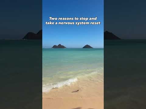 Watch the video, take some time to reset and relax on the doom scrolling.