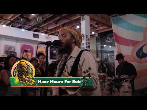 Ziggy Marley - Many Mourn For Bob | 2026 Licorice Pizza Stream