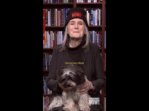 Democracy Now! turns 30 – watch our special event