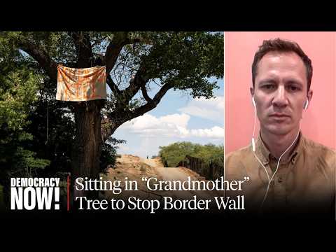 Activist Tree-Sit in Ancient Cottonwood Continues Against Border Wall Construction in Arizona