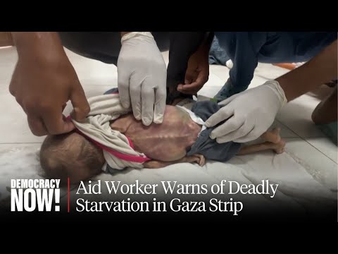 "Stop This Genocide": Gaza Aid Worker Warns of Imminent Starvation, Urges Israel to Lift Blockade