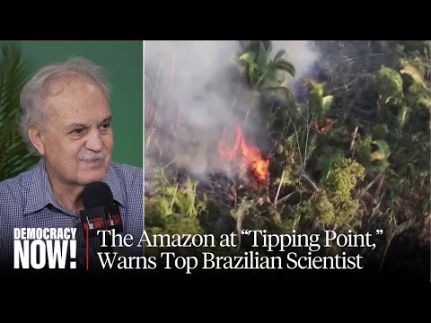 The Race to Save the Amazon: Top Brazilian Scientist Says Rainforest Is at "Tipping Point"