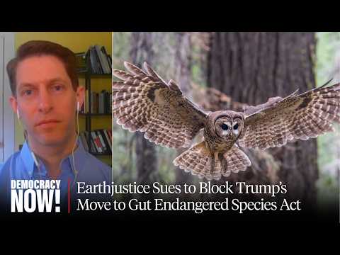Earthjustice Sues to Block Trump's Move to Gut Endangered Species Act