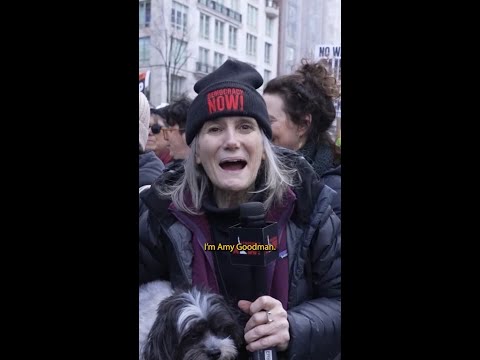 Voices of protest at No Kings march in NYC