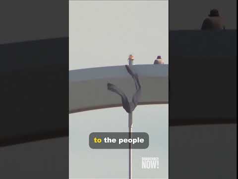 Why a former U.S. Marine spent 5 days protestingatop D.C. bridge