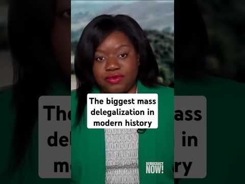 "The biggest mass delegalization in modern history"