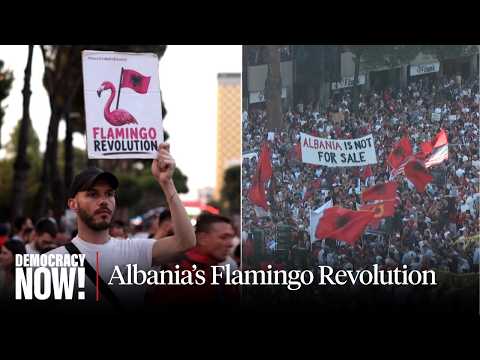 Albania's Flamingo Revolution: Protests Against Kushner-Trump Luxury Resort Could Bring Down Gov't