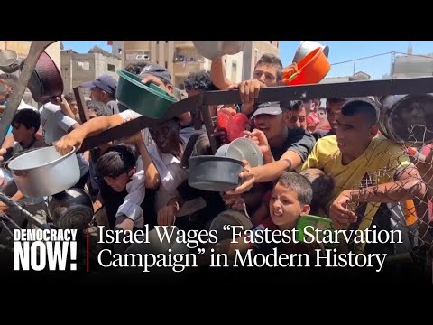 Israel Waging “Fastest Starvation Campaign” in Modern History: U.N. Special Rapporteur on Food