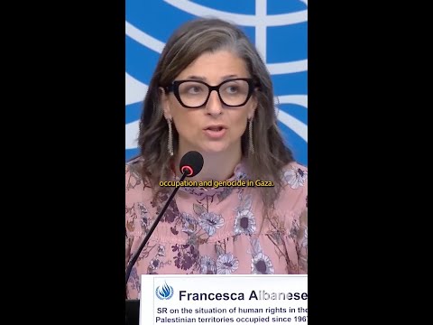 Why did the Trump administration sanction this U.N. expert?