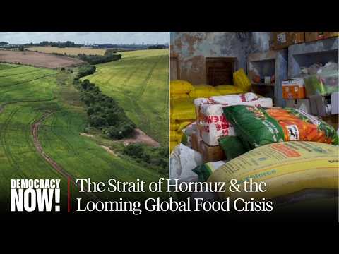 The Looming Food Crisis: Why the Strait of Hormuz Is Disrupting Global Agriculture