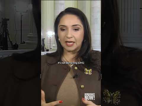 Rep. Delia Ramirez calls on Democrats to pull DHS funding