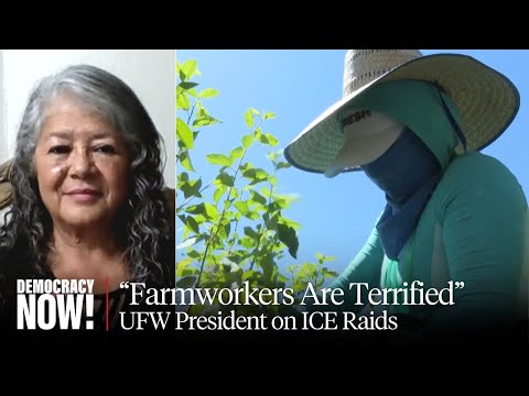 "Farmworkers' Voices Are Not Being Heard": UFW President Teresa Romero on ICE Raids & Workers' Lives