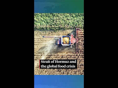 The coming food crisis