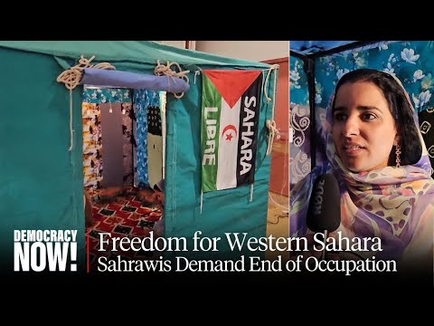 Freedom for Western Sahara: Sahrawis Demand End of Moroccan Occupation at U.N. Human Rights Council