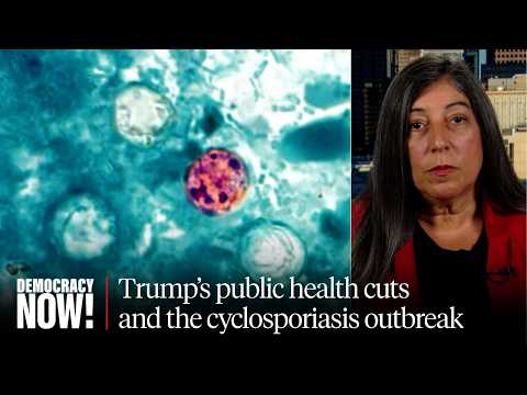 "Tipping Point": Ex-CDC Official Links Cyclosporiasis, Measles Outbreaks to Trump Public Health Cuts