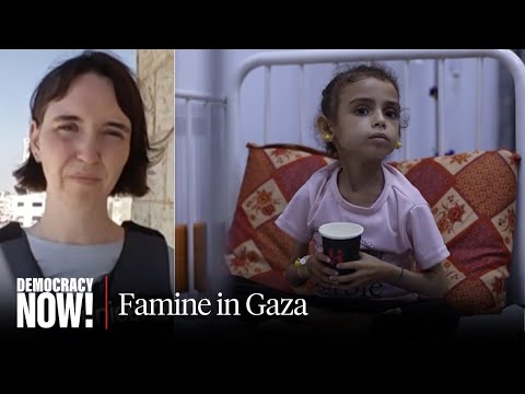 "Apocalyptic": U.N. Declares Famine in Gaza, UNICEF Demands Aid Access