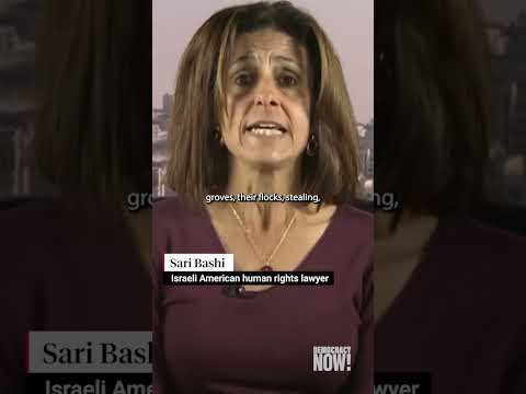 Why Settler Violence in West Bank Is Part of Larger Ethnic Cleansing of Palestine