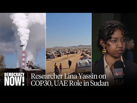 Sudanese Researcher Lina Yassin on COP30 Climate Talks, UAE-Funded Proxy War in Sudan over Gold
