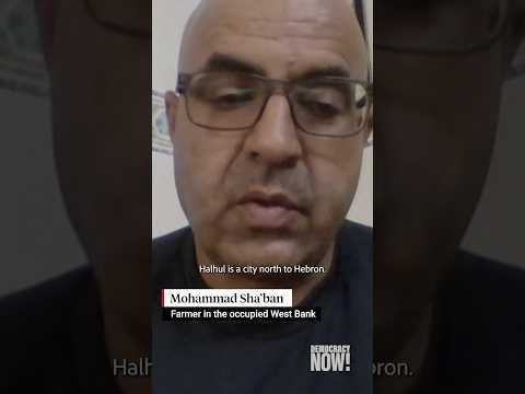 Palestinian farmer describes Israeli settler encroachment