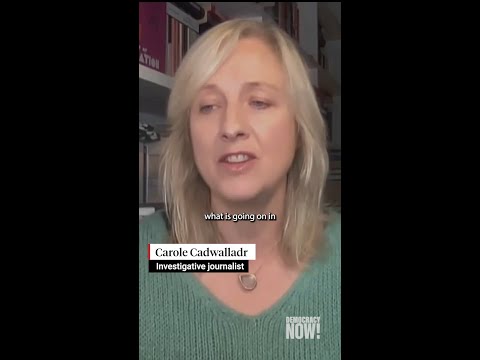 Carole Cadwalladr on Jeffrey Epstein & the Elite’s Veil of Silence